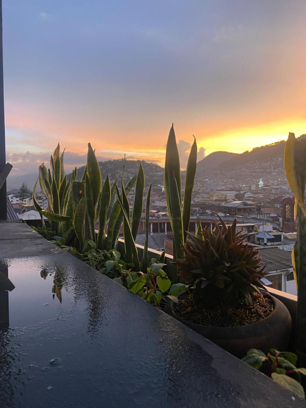 Hostal La Guayunga Rooftop Κίτο Εξωτερικό φωτογραφία